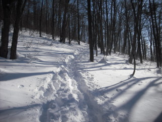 冬の鞍掛山登山道